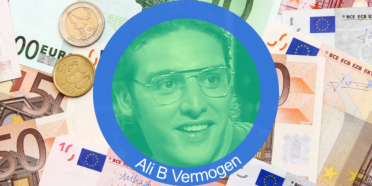 Ali B vermogen