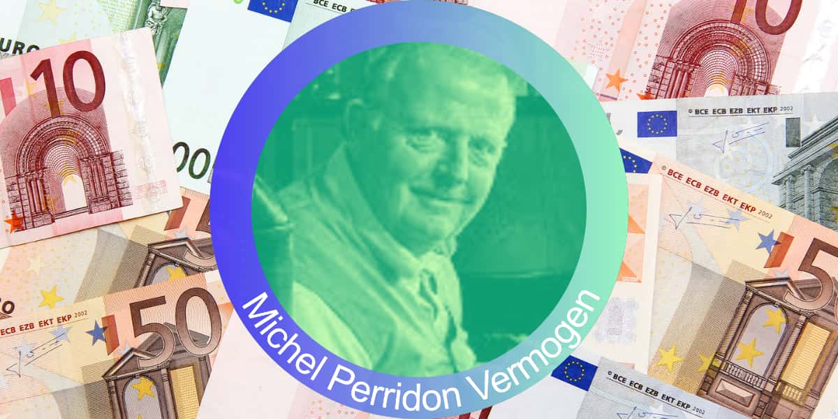 Michel Perriodon vermogen