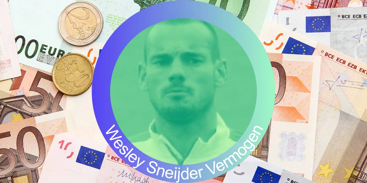 Wesley Sneijder vermogen